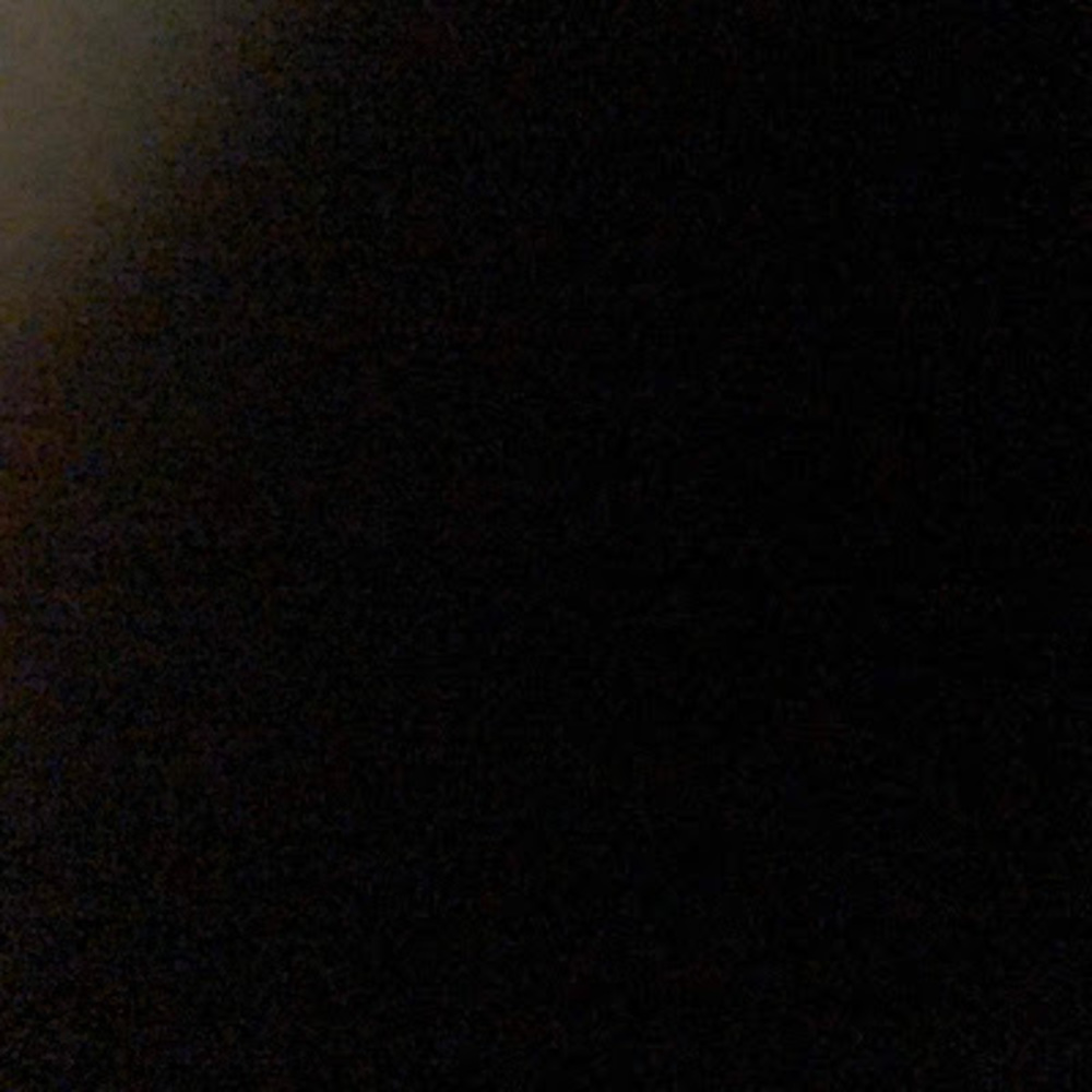 Meet your Posher, Donald